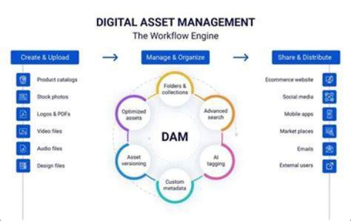 Ultimate Guide To DAMR: Exploring The Dynamics Of Digital Asset Management