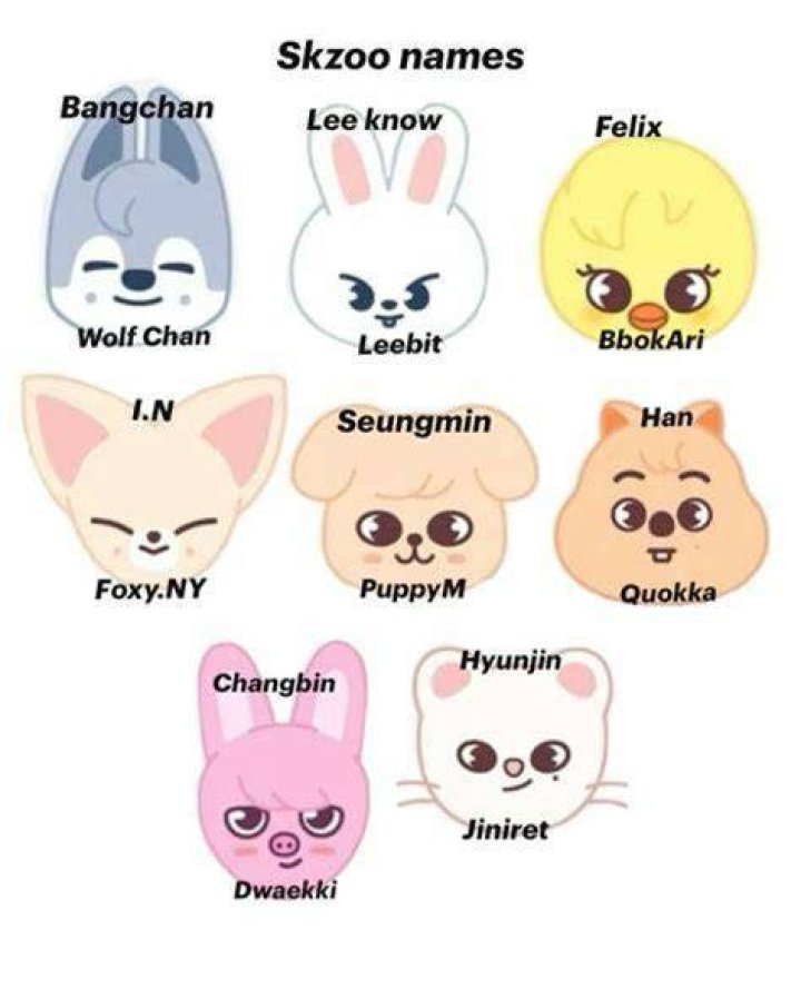 Ultimate Guide To Stray Kids SKZOO Names: Origins And Meanings