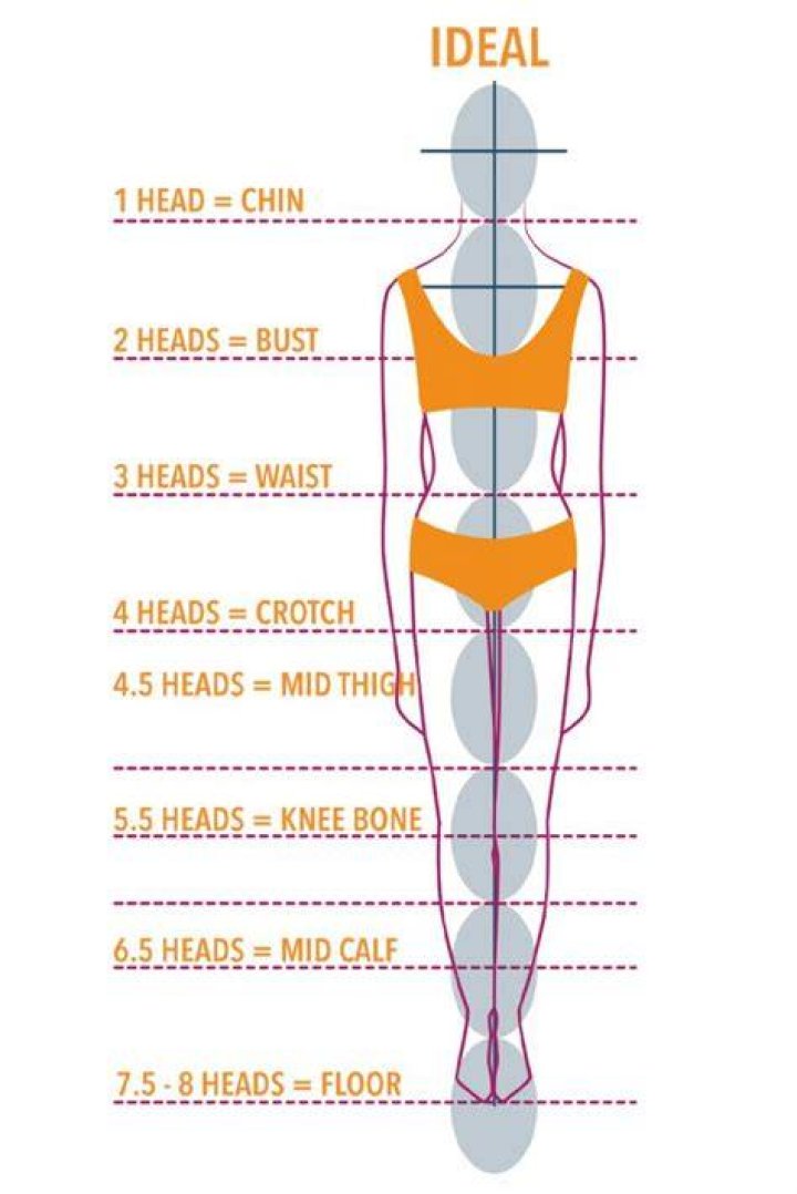 Uncover The Perfect Torso To Leg Ratio: A Guide To Proportion And Symmetry