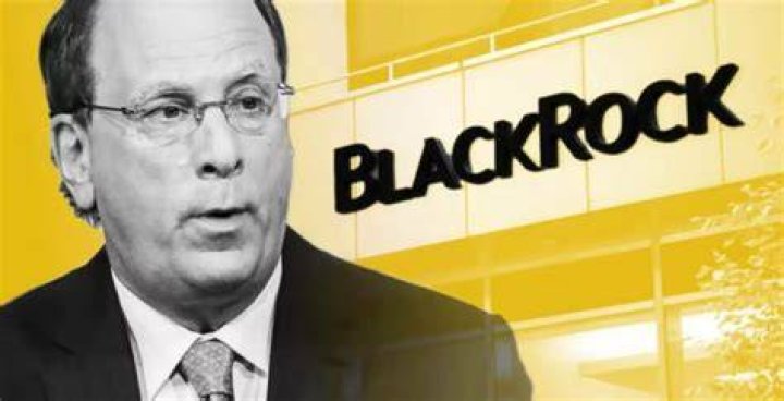Uncovering The Secrets Of BlackRock CEO's Daughter's Fortune