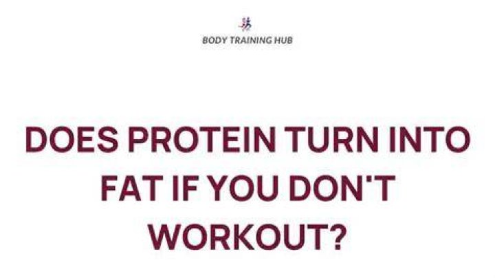 Uncovering The Truth: Can Your Body Transform Fat Into Protein?