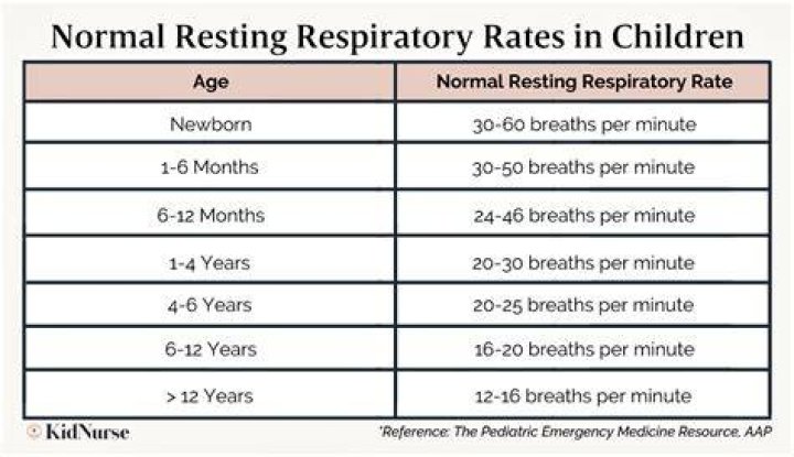 Understand The Normal Respiratory Rate For Infants: A Comprehensive Guide