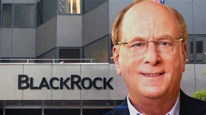 Unveiling Blackrock Owner's Son: The Heir To A Financial Empire