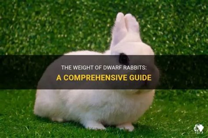 Unveiling The Size Of Dwarf Babies: A Comprehensive Guide
