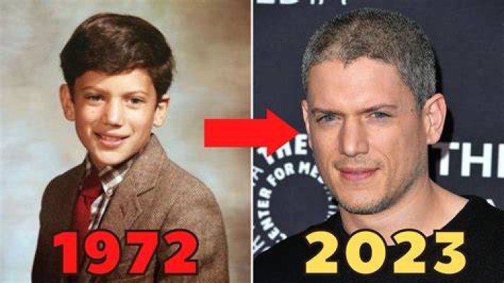 Wentworth Miller's Remarkable Bi-Racial Identity: A Journey Of Pride And Inclusivity