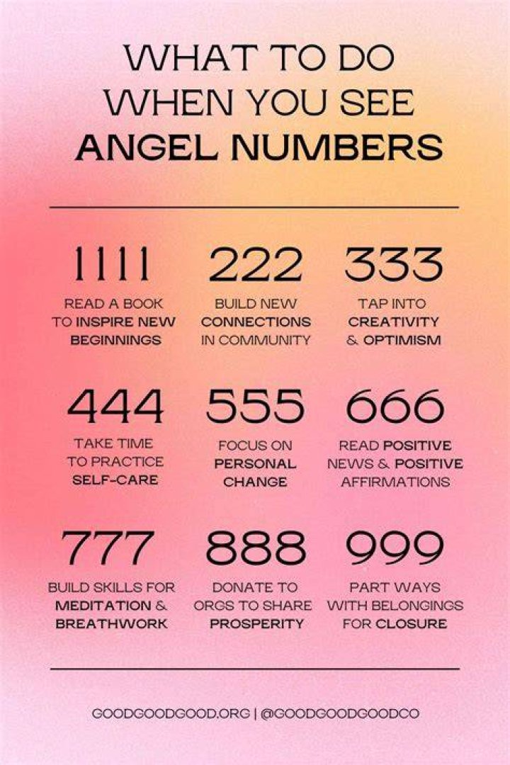 What Does The Angel Number 481 Mean? TheReadingTub