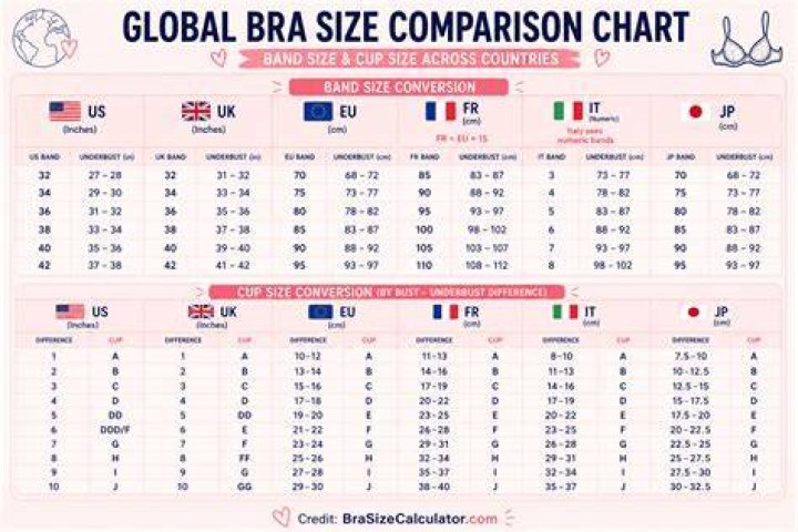 Whats my bra size calculator tabletgross