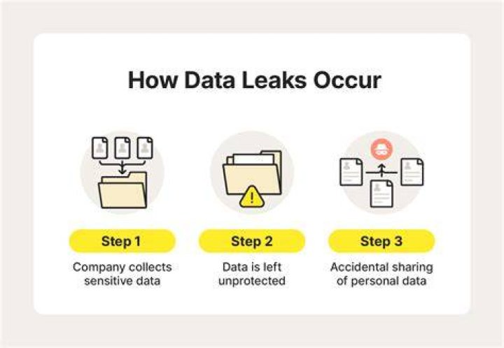 Whipitdev Exposed: Massive Data Leak Uncovers Sensitive Information