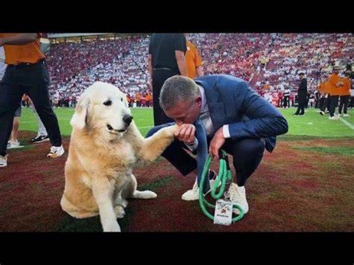 Why Does Kirk Herbstreit Travel With His Beloved Canine Companion?