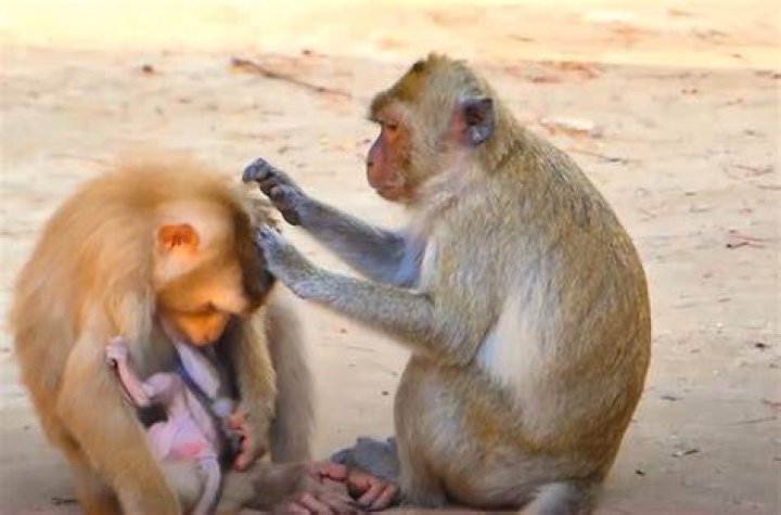 Witness The Touching Moment: Child And Mother Reunite On CCTV Video